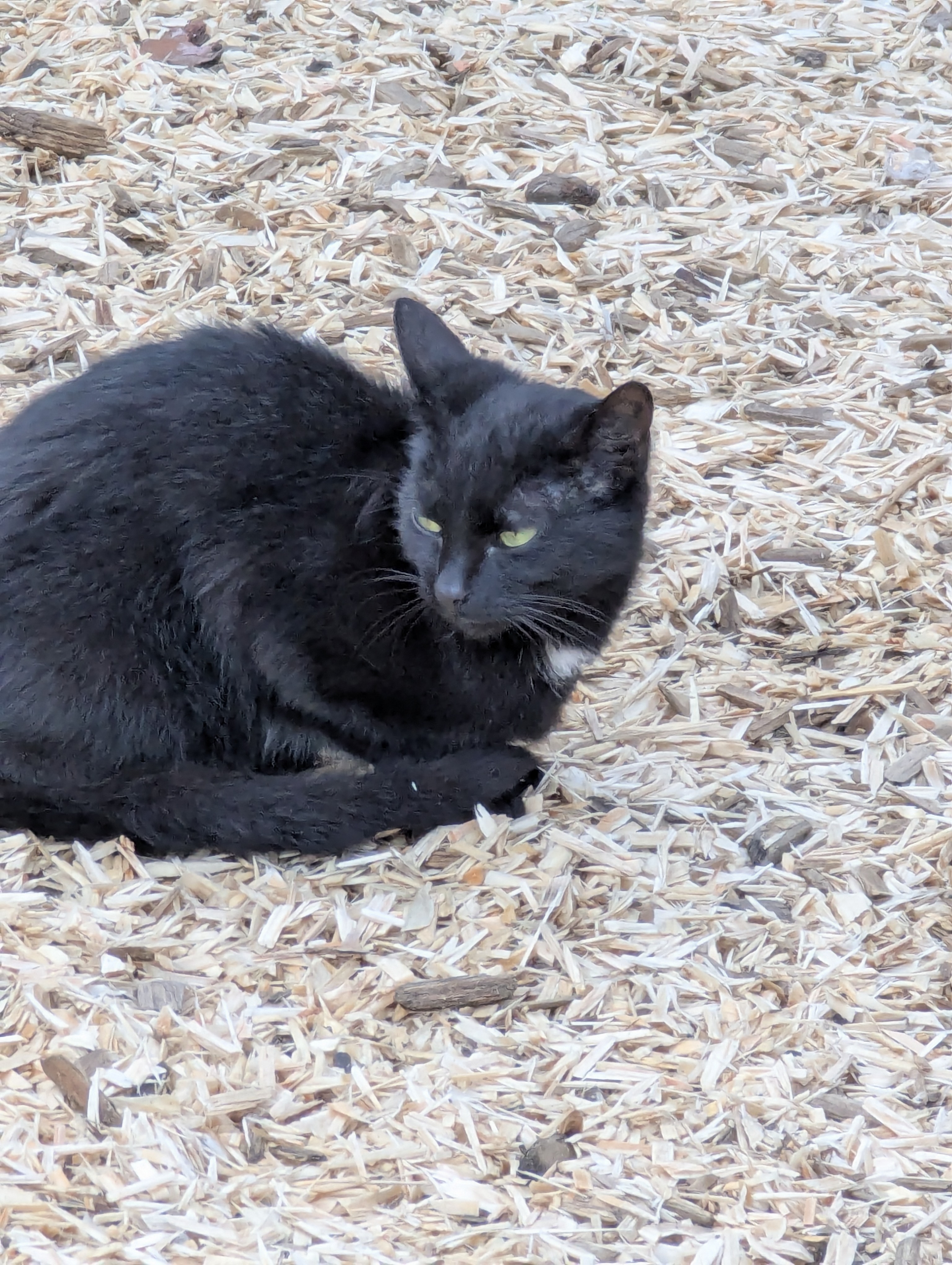Lyngby, Copenhagen, Barn Party, Denmark